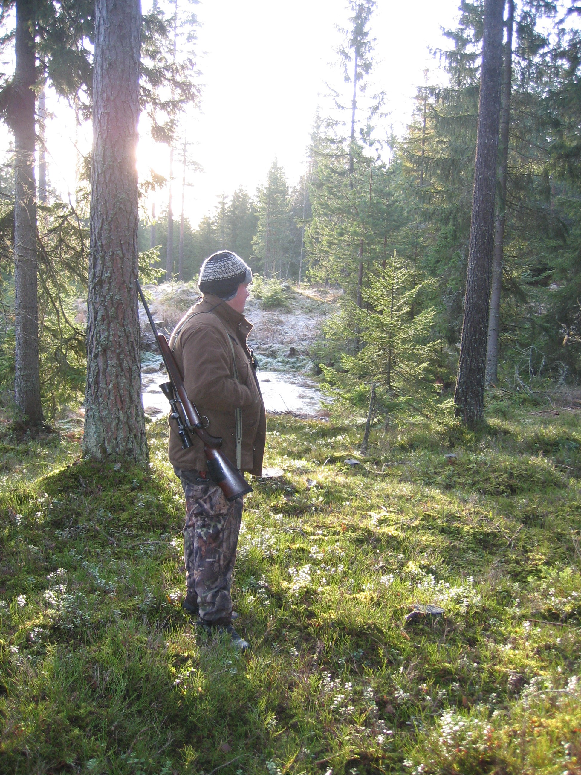 Tildeling Jakt Romedal Almenning Stange Almenning