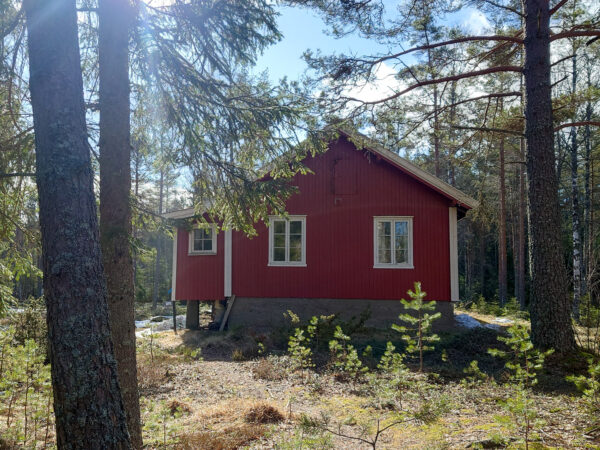 Fossbergstormyra - Bilde 4