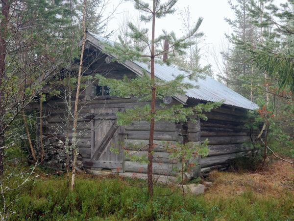 Gruvbergskoia