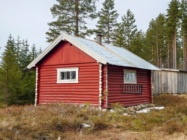 Rugbråtekoia
