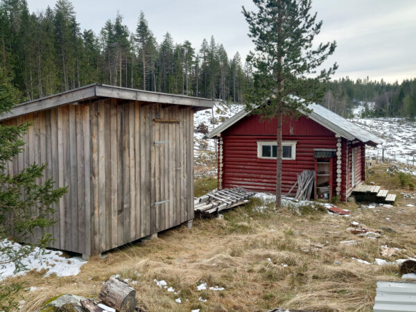 Rugbråtekoia - Bilde 2