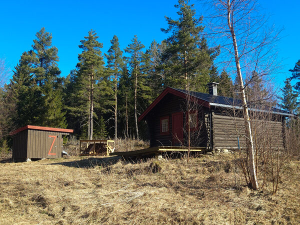 Hamnsvekoia - Bilde 3
