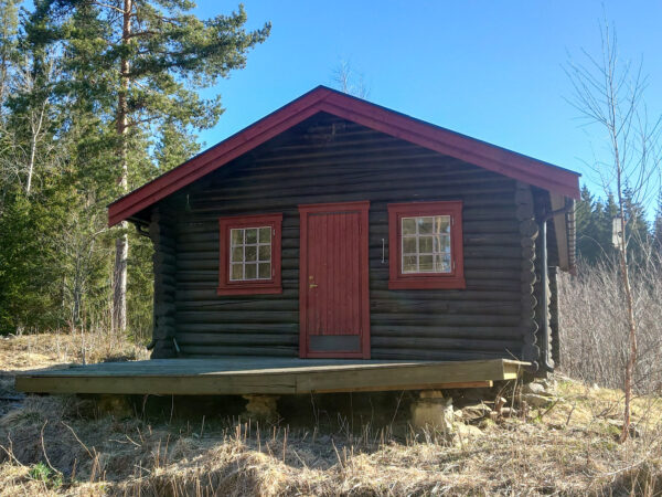Hamnsvekoia